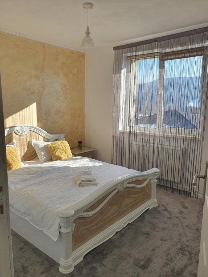 Apartament Tiron In Centru Orasului Гура Хуморулуй Екстериор снимка
